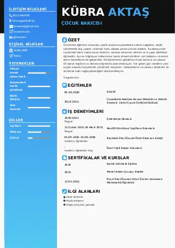 Çocuk Bakıcısı CV Örnekleri cv indir